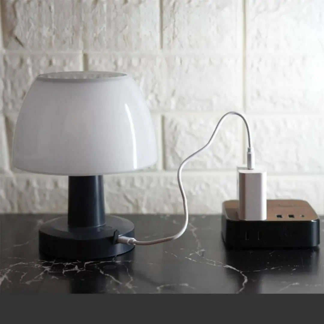 Orihome Solar and USB Rechargeable Table Lamp - Waterproof Outdoor LED