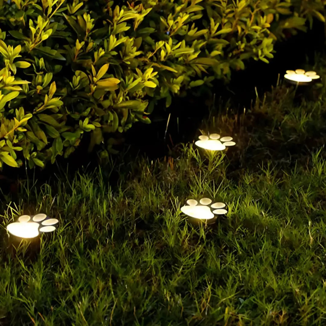 PawGlow Solar Light