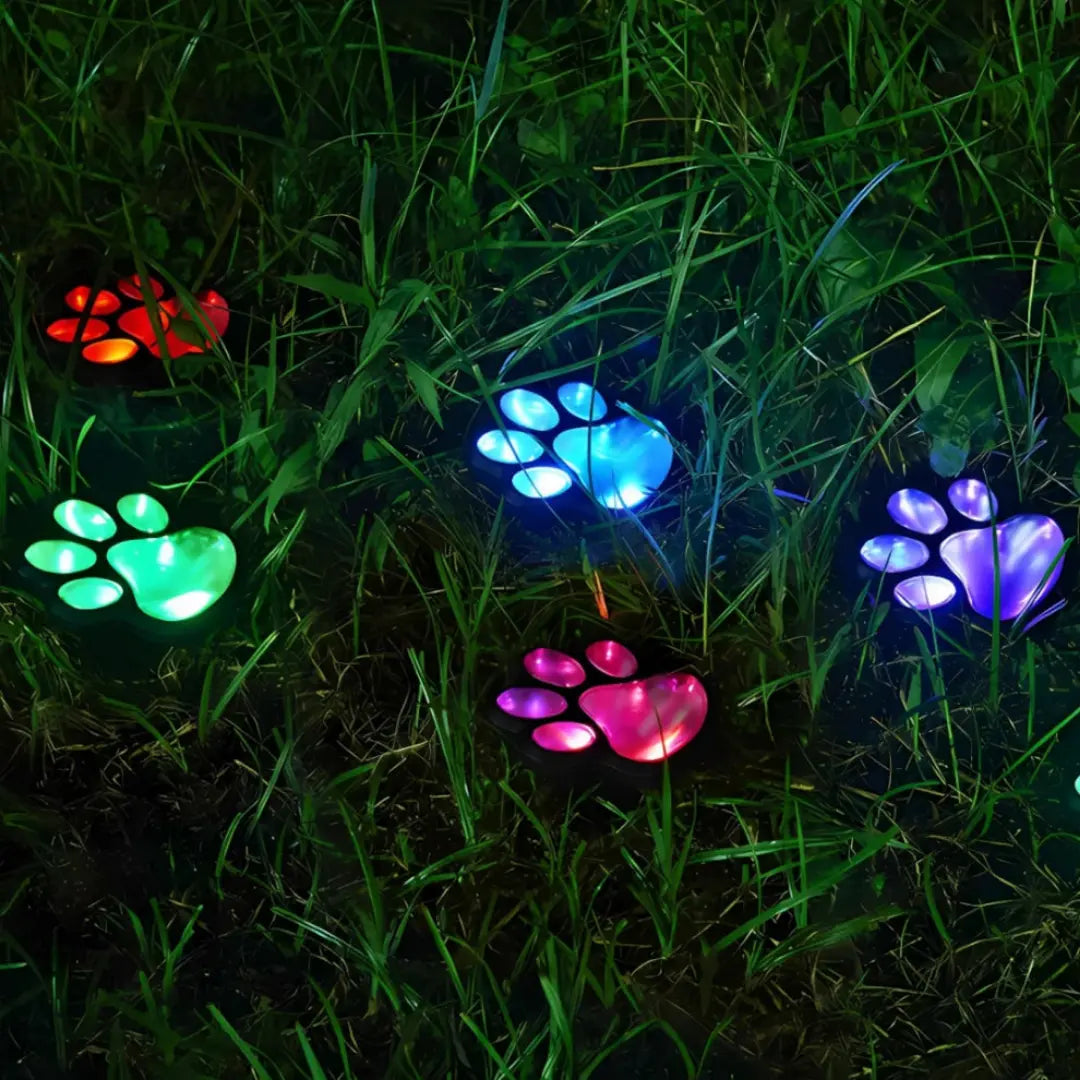 PawGlow Solar Light
