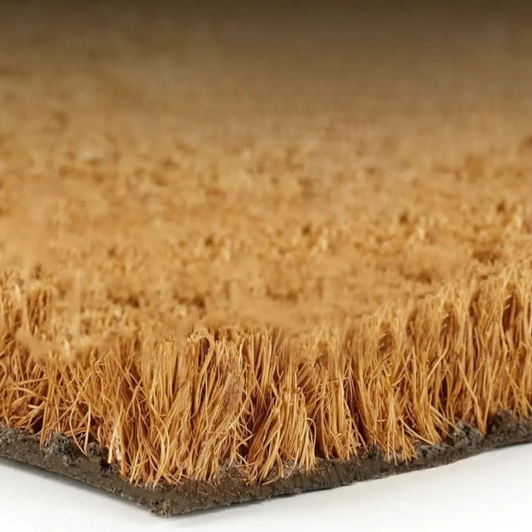 Celene Thick Coir Bristle Door Mat - Non-Slip Rubber Backing for Outdoor and Indoor Entrances