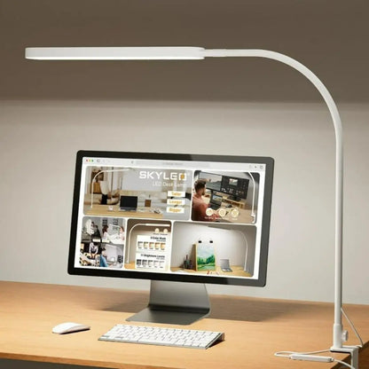 LED Desk Lamp