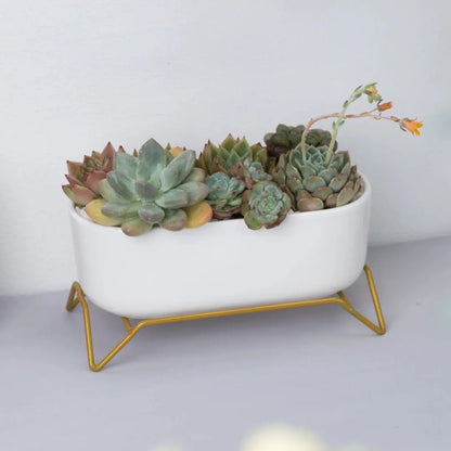 Small White Ceramic Succulent Planter with Gold Metal Stand